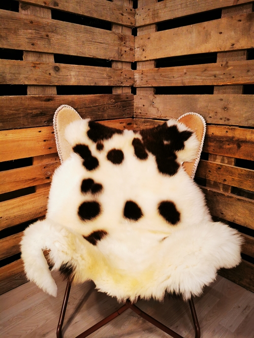 Lammfell Europäich Jacobschaf