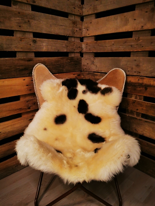 Lammfell Europäich Jacobschaf